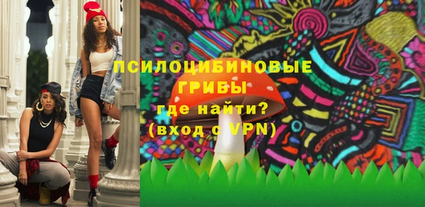 первитин Инсар