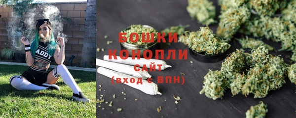 первитин Инсар