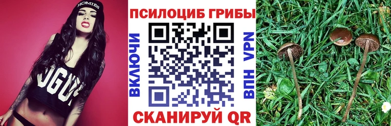Купить где  Трёхгорный  Псилоцибиновые грибы Magic Shrooms 